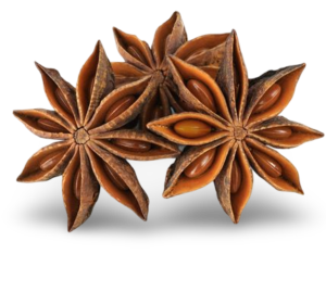 Star Anise Oil icon