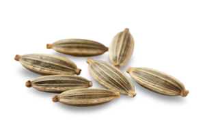 Fennel Oil