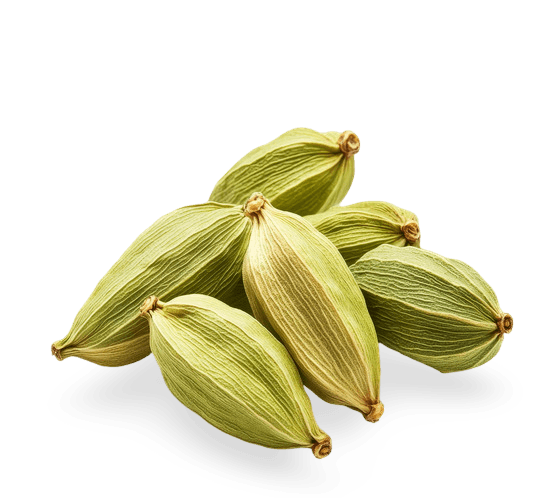 Cardamom Oil icon