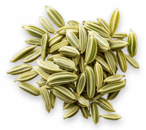 Fennel Oil icon