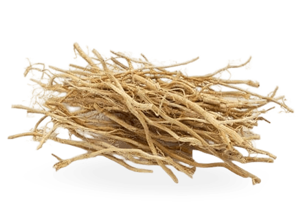 Vetiver Oil icon